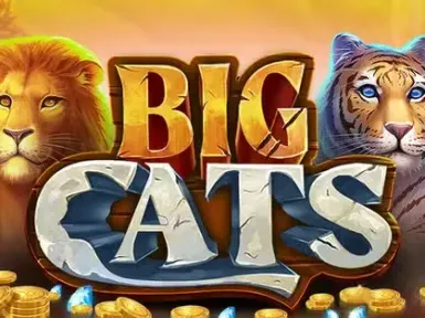 Winairlines Casino screenshot